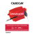 CANSON Graduate olej/akryl 290g 20 listů - různé velikosti