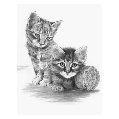 Royal & Langnickel set za skiciranje s motivom - Mačići