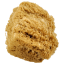 Grande spugna naturale di lana