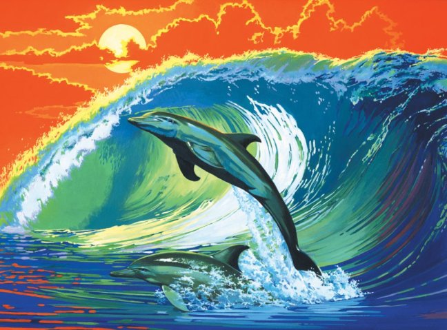 R&L Pictură după numere pe pânză – Dolphins & Surf