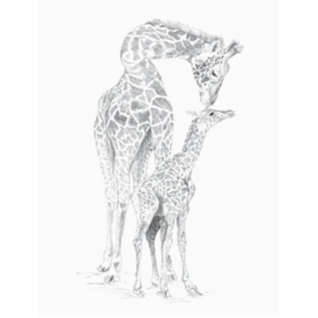 Set da disegno Royal & Langnickel con motivo - Giraffa e cucciolo
