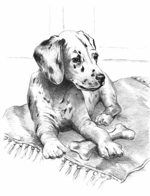 Set da disegno Royal & Langnickel con motivo - Cucciolo di dalmata