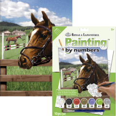 Malování podle čísel formát A4 - Koňský výběh