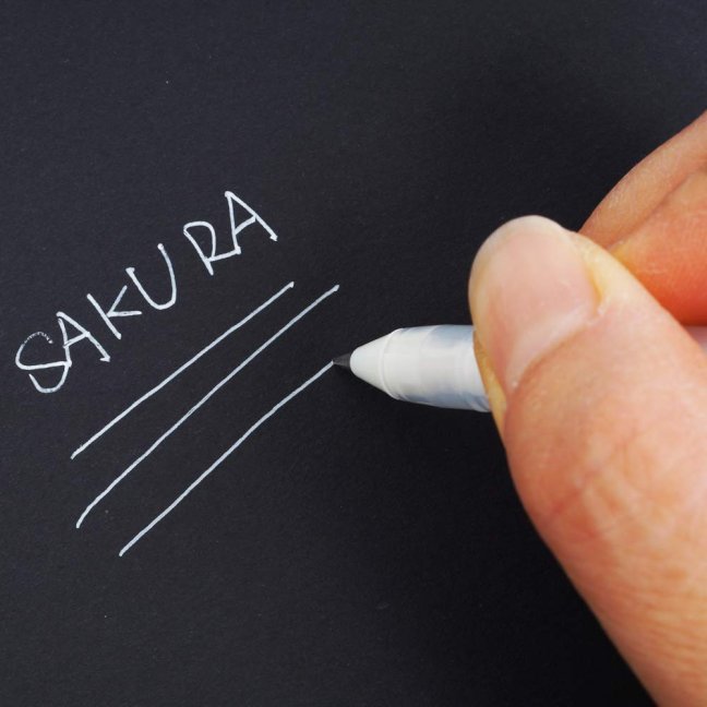 Sakura Gelly Roll penna gel bianca - scegli la dimensione