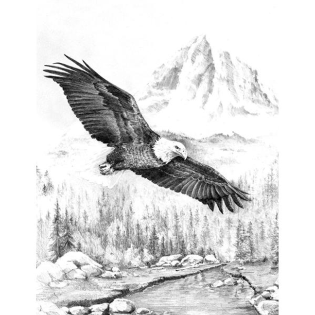 Set da disegno Royal & Langnickel con motivo - Aquila