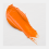 Colori a olio Cobra Study 40 ml