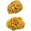 Spugne marine naturali - spugne a onda - set XL - 2 pezzi