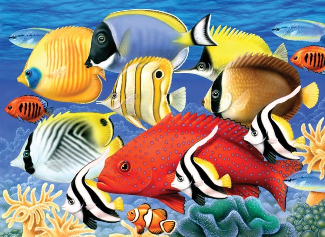Pittura con numeri formato A3 - Pesci tropicali