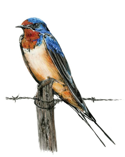 R&L Kreativni set za crtanje – 31 kom