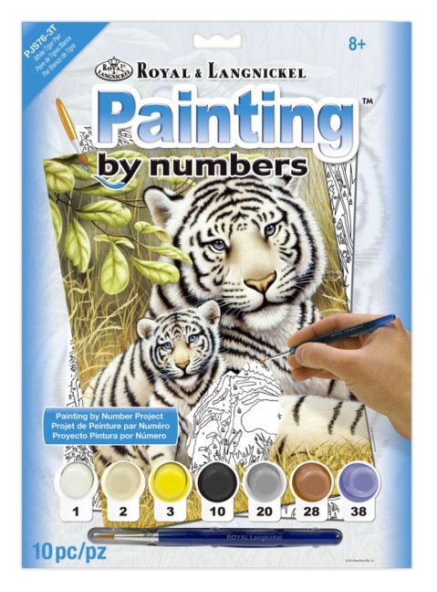 Számozott kifestő A4 formátumban - Fehér tigrisek