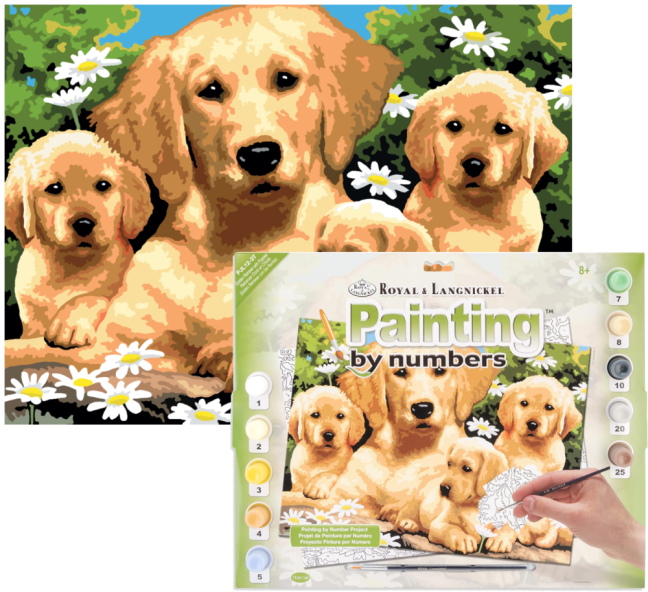 R&L Pittura per numeri – Golden Retriever Puppies