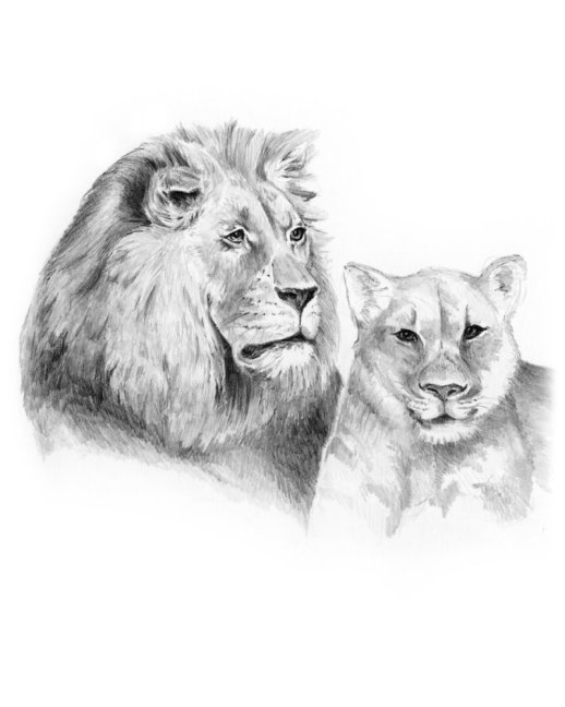 R&L Set creativo per schizzi – 33 pz