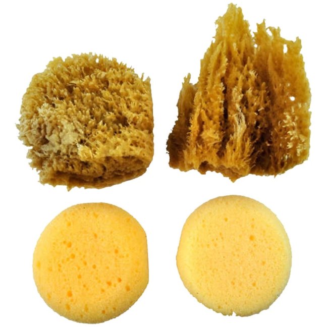 Spugne naturali e sintetiche - set da 4 pezzi