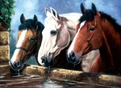 R&L Pittura per numeri – Three of a Kind