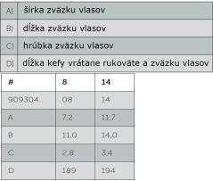 Van Gogh ecsetek olaj/akril/gouache 304 - VÁLASSZA KI A MÉRETET