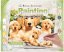R&L Pittura per numeri – Golden Retriever Puppies