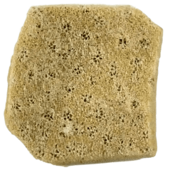 Prírodná špongia - Slonie ucho -  1 1/2" - 2"