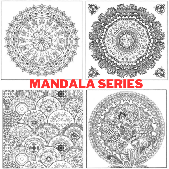 PHOENIX Set di pittura per numero 4 pezzi - scegli la serie