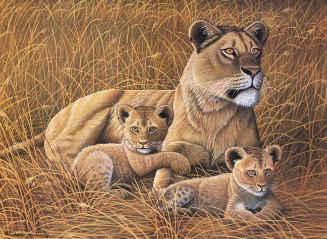 Pittura con numeri formato A3 - Leone africano con cuccioli