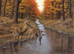 R&L Pittura con i numeri – Symond’s Creek