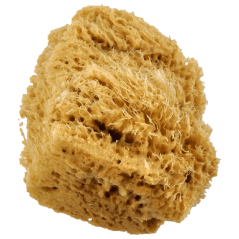 Veľká prírodná vlnená špongia