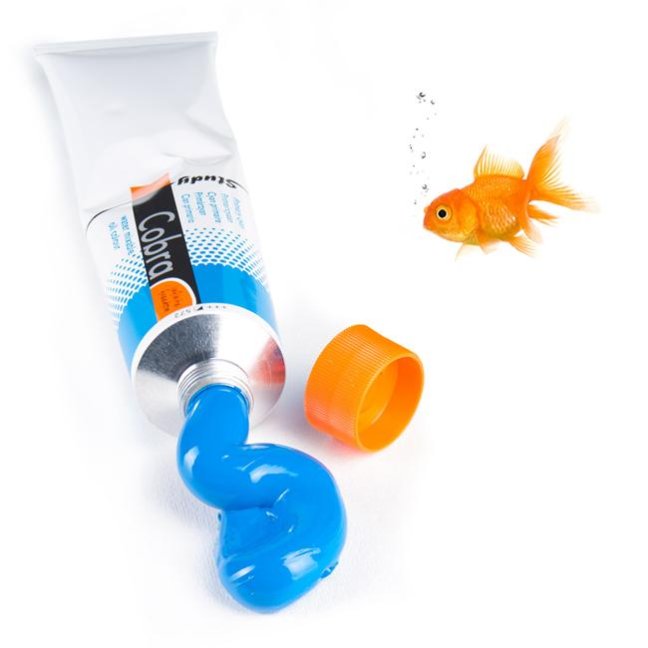 Olejové farby Cobra Study 200  ml