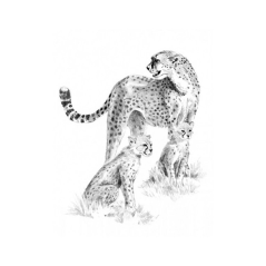 Royal & Langnickel set za skiciranje s motivom - Gepardi