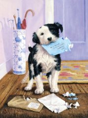 Slikanje po številkah format A4 - Kuža s pošto