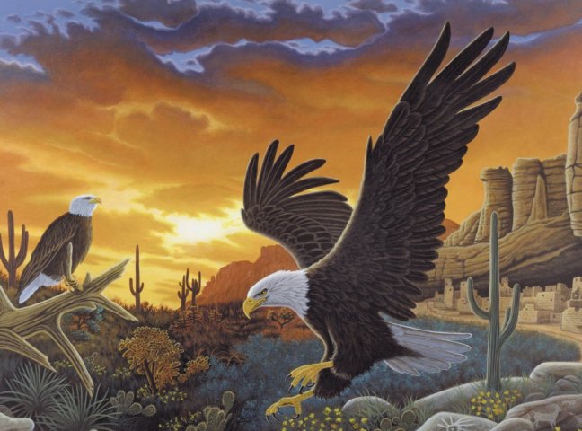 Számozott kifestő A3 formátumban - Sas