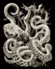 R&L Vyškrabovací obrázek svítící ve tmě – Octopus