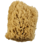 Royal Langnickel Grande spugna ondulata 1 pezzo