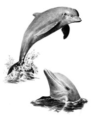 R&L kreativni set za skiciranje – 33 kom