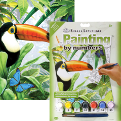 Számozott kifestő A4 formátumban - Tukánmadár