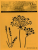 Stencil in pellicola - FOGLIE 2