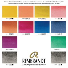 Rembrandt colurs d'aquarel en stagna 12x10ml tubas - Oxid Nair per maschadar