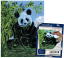 R&L Pictură după numere pe pânză – Panda