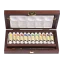 Rembrandt Tradizionale Acquerello scatola in legno 12 x 10 ml tubi + accessori