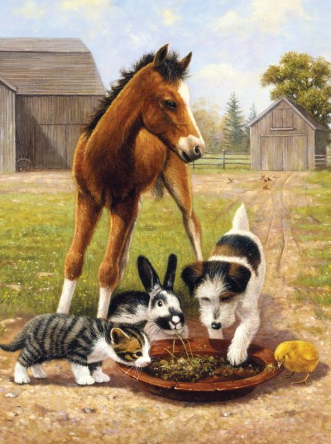 Számozott kifestő A4 formátumban - állatok