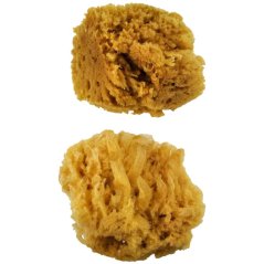 Prírodné morské - karibské špongie - sada 2 ks