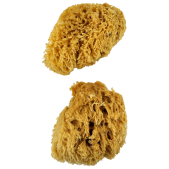 Grandi spugne naturali di lana - set da 2 pezzi