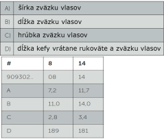 Van Gogh ecsetek olaj/akril/gouache 302 - VÁLASSZA KI A MÉRETET