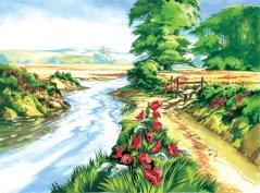 R&L Slikanje po brojevima – Poppy Field