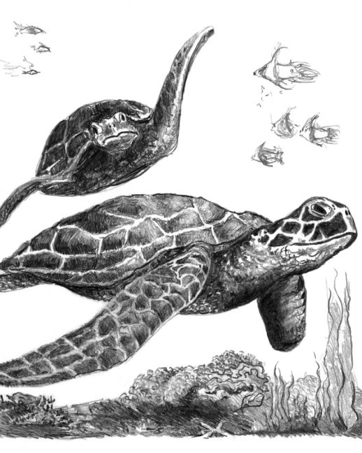 R&L set creativo per schizzi – 33 pz