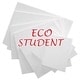 Maliarske plátno ECO STUDENT