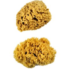 Prírodné morské špongie - vlnové špongie - sada XL - 2ks