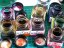 Inchiostri acquerellabili Talens Ecoline con pipetta 30 ml