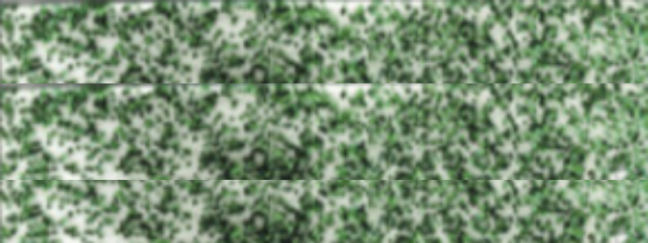 Akril festék glitteres Crafter's Choice Royal Langnickel - 59 ml - AMSTERDAM Deco Glass Colours - válasszon árnyalatot: 199 - Glitrová zelená (bambusová)