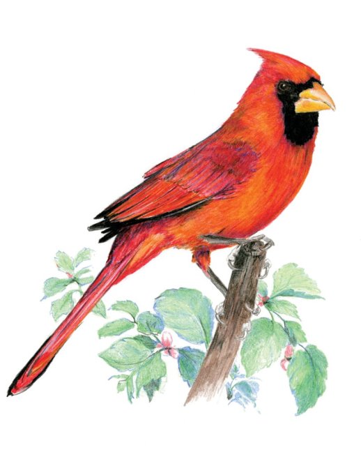 R&L Kreativni set za crtanje – 31 kom