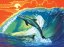 R&L Pictură după numere pe pânză – Dolphins & Surf