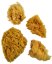 Set di 4 spugne naturali